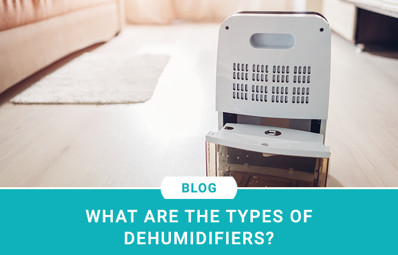 What are the Types of Dehumidifiers
