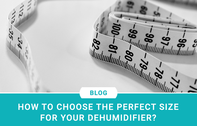 How to Choose the Perfect Size for your Dehumidifier