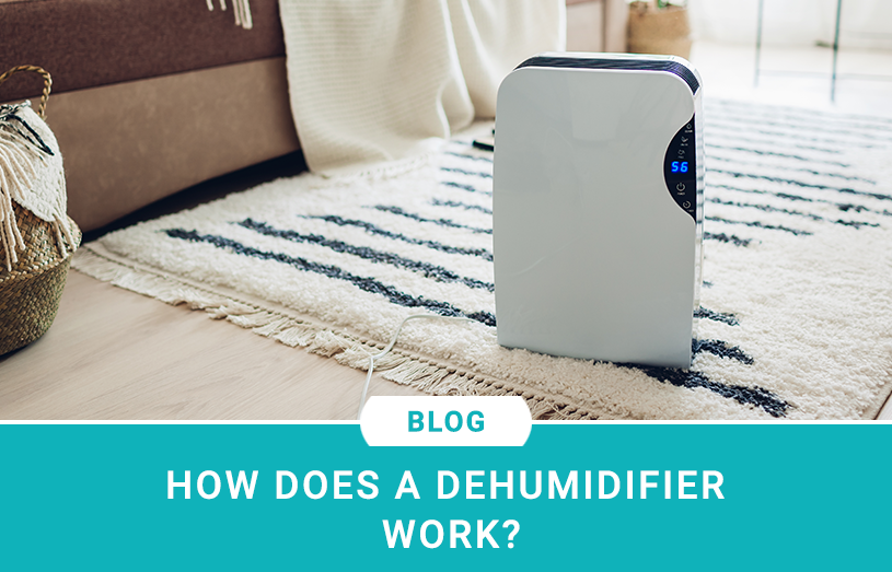 How Does a Dehumidifier Work